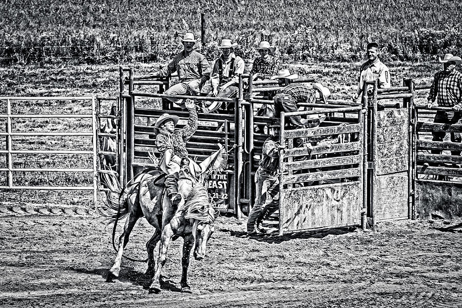 Cowpoke Audience Black and white Photograph by Eleanor Abramson