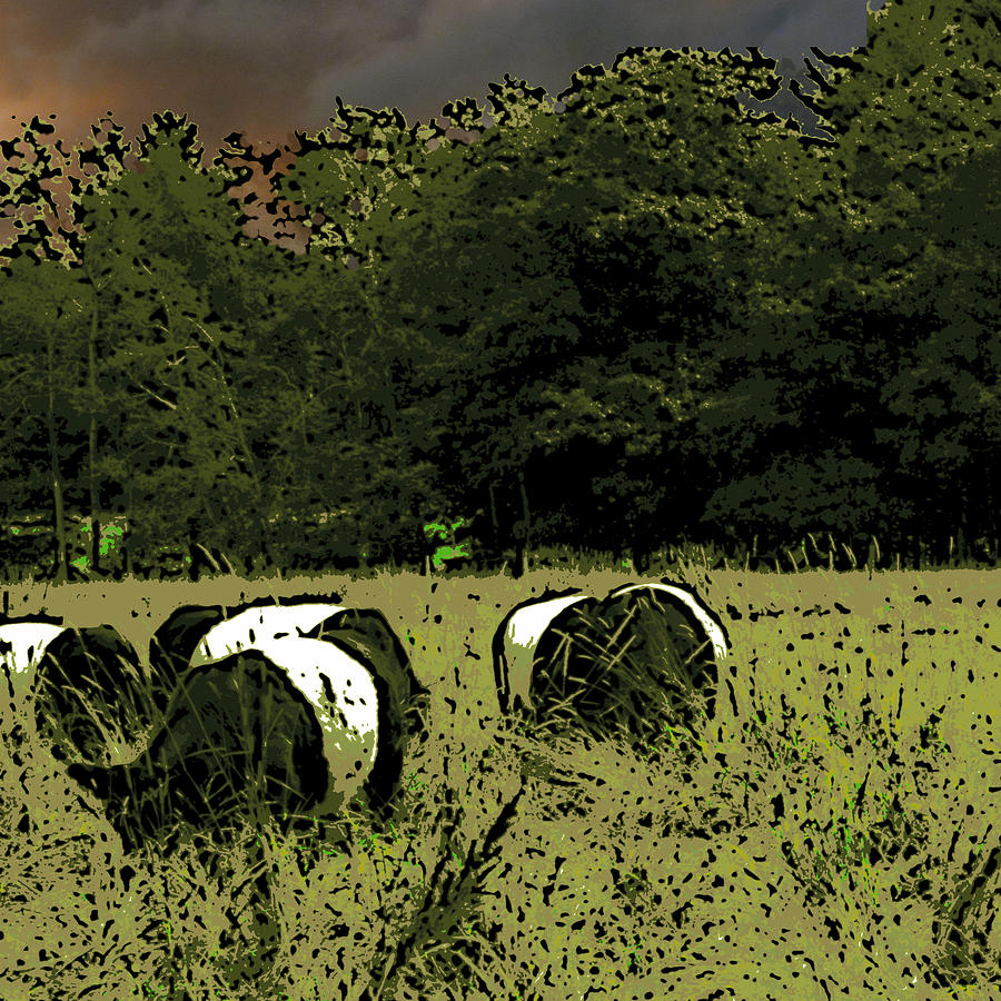 Cows Under a Threatening Sky Mixed Media by Ann Tracy