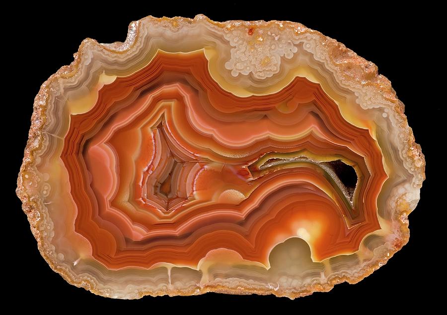 Pattern Photograph - Coyamito Agate by Natural History Museum, London/science Photo Library
