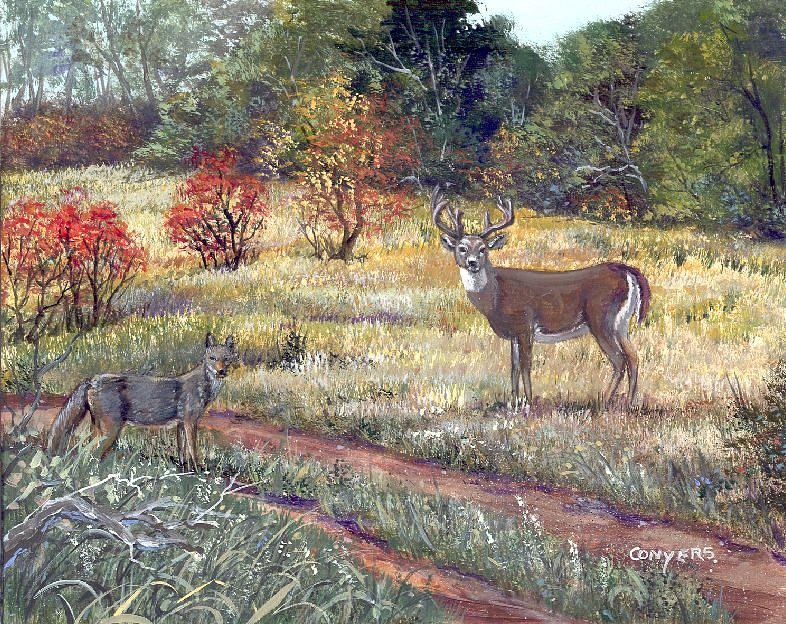 Coyote And Mule Deer Painting by Peggy Conyers