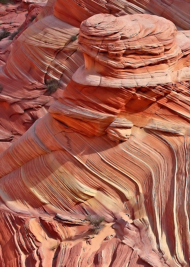 Coyote Buttes Photograph by Farol Tomson