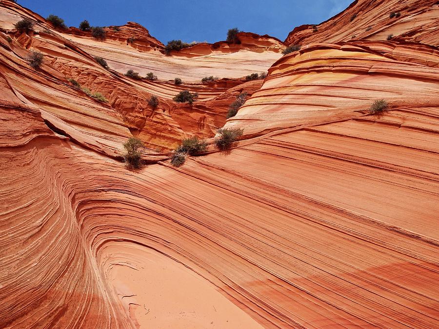 Coyote Buttes South Photograph by Photograph By Michael Schwab