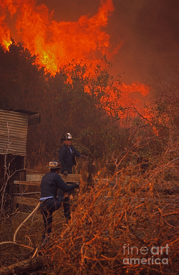 Coyote Fire - 1969 Photograph by J L Woody Wooden