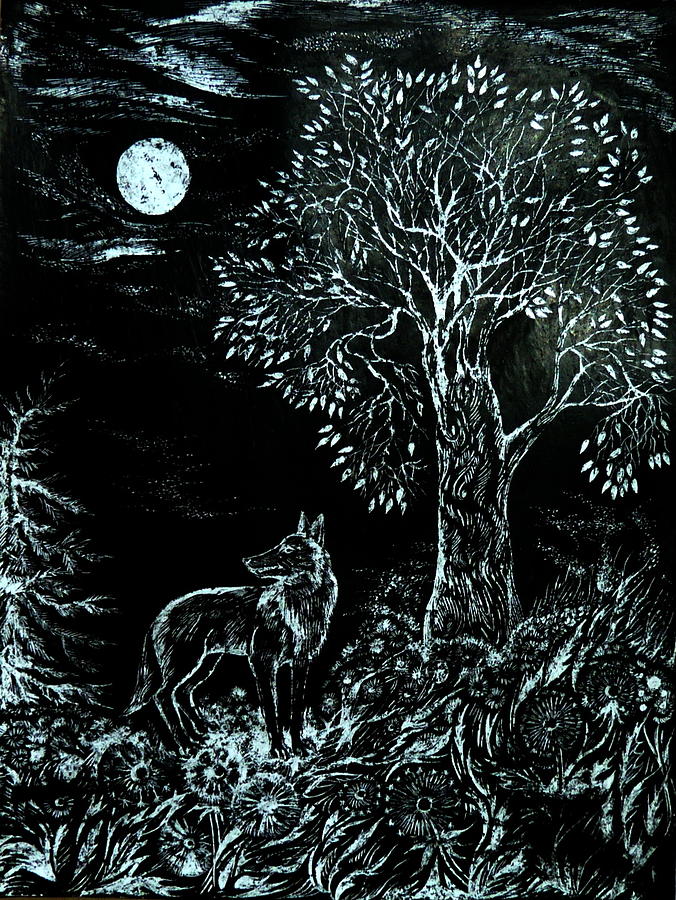 Coyote Night Drawing by Anna  Duyunova