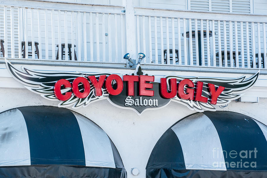 Sign Photograph - Coyote Ugly Key West  by Ian Monk