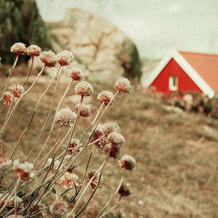 Dreamy Landscape Photograph - Cozily Bundled by Sonya Kanelstrand