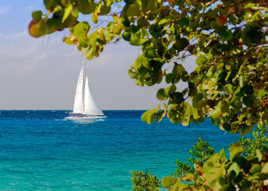 Cozumel Sailboat Photograph by Mitchell R Grosky
