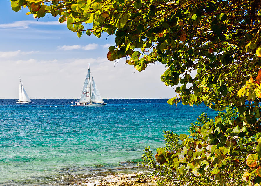 Cozumel Sailboats Photograph by Mitchell R Grosky