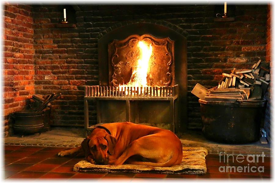 Cozy By the Fire Photograph by Carol Groenen
