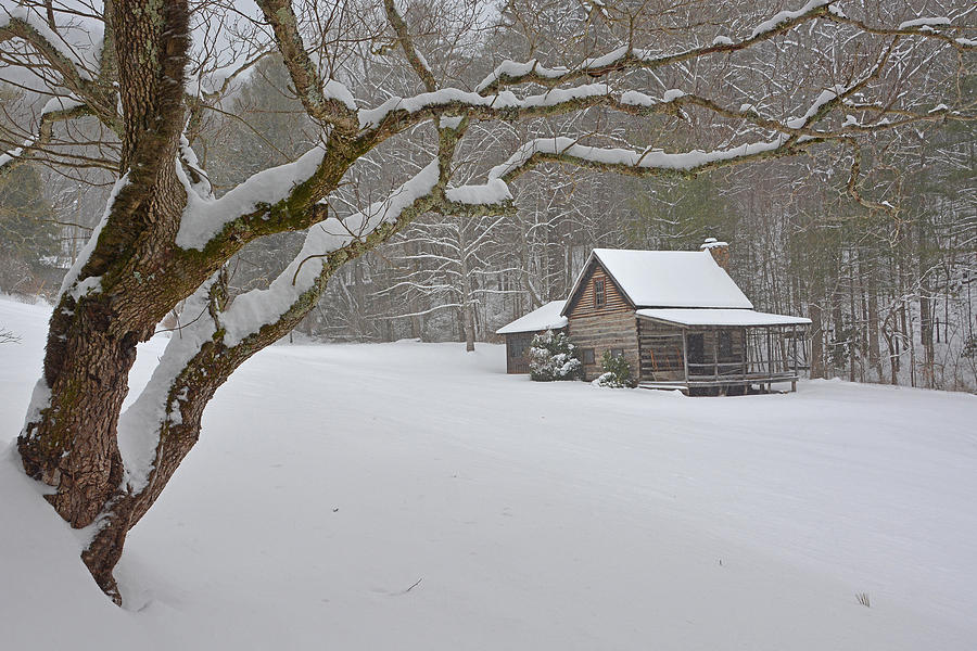 Cozy Cabin in the Snow Photograph by Alan Lenk