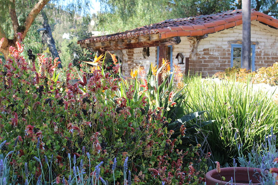 Cozy Cottage by Murad Abel Cozy Cottage by Murad Abel