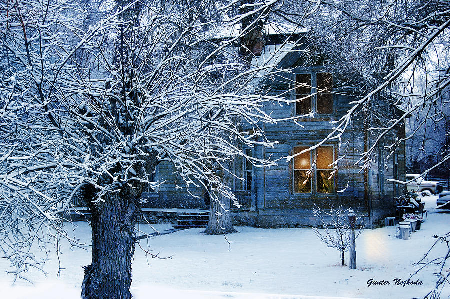 Winter Photograph - Cozy by Gunter Nezhoda