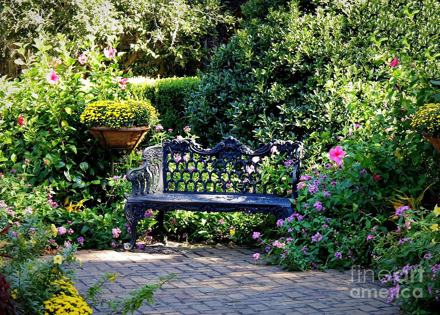 Garden Photograph - Cozy Southern Garden Bench by Carol Groenen