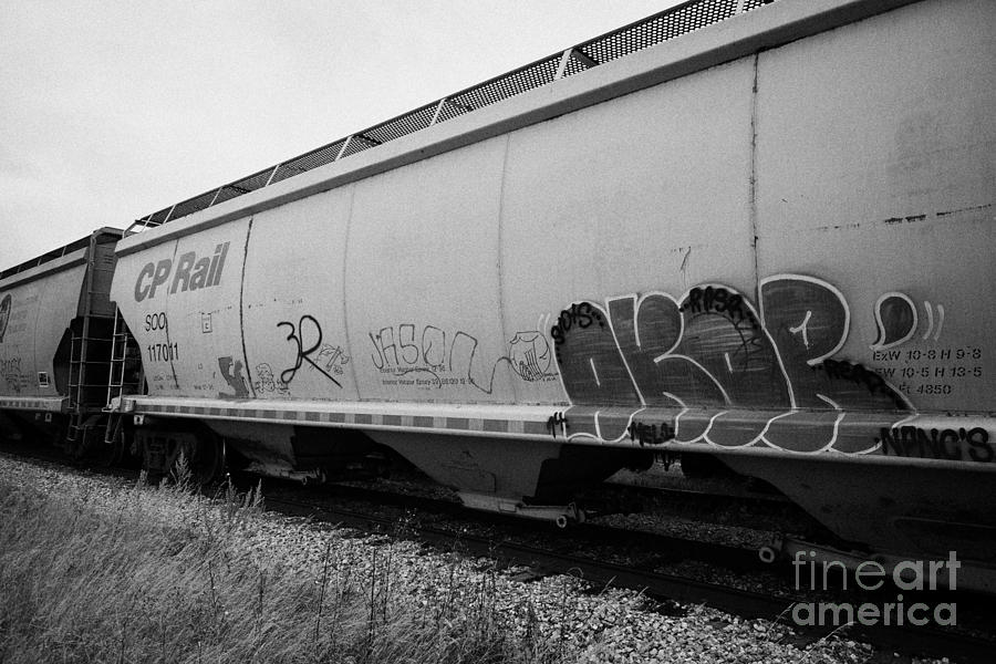 cp rail freight grain trucks with tag graffiti on former canadian ...