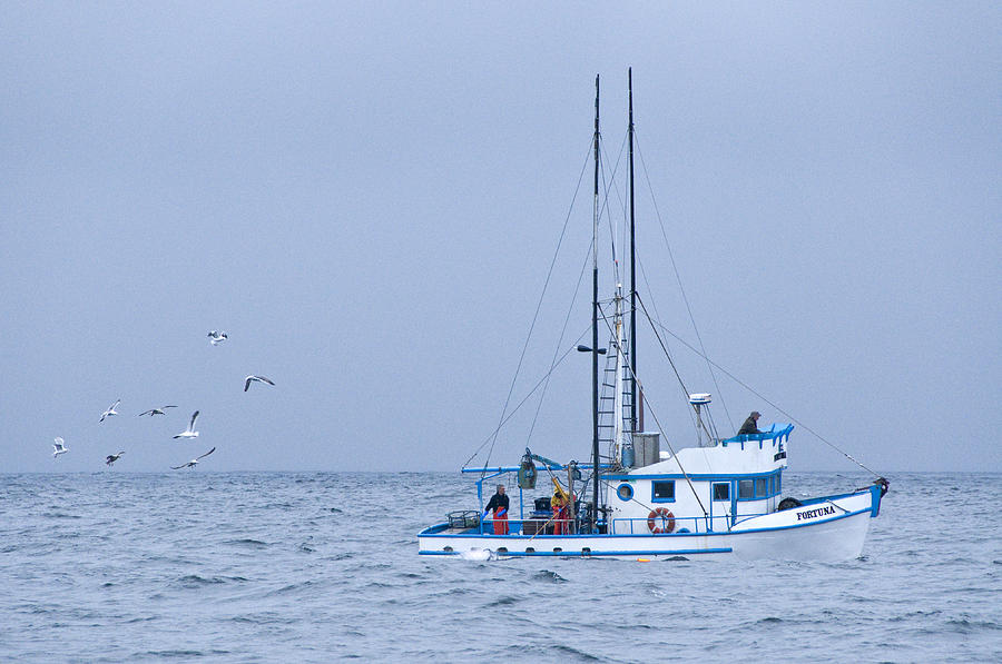 Crab Boat Dropping And Pulling Their Pots Photograph by Scott Lenhart
