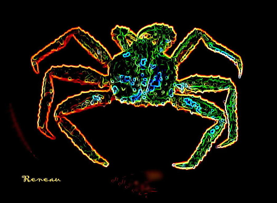 Crab In Neon Photograph by A L Sadie Reneau