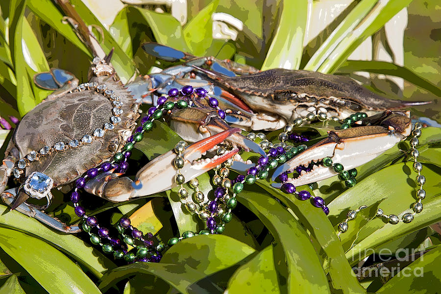 Crab Mardi Gras Photograph by Luana K Perez