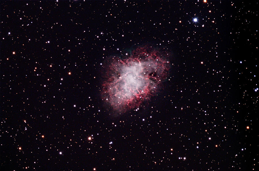 Space Photograph - Crab Nebula by Robert Gendler & Jim Misti/science Photo Library