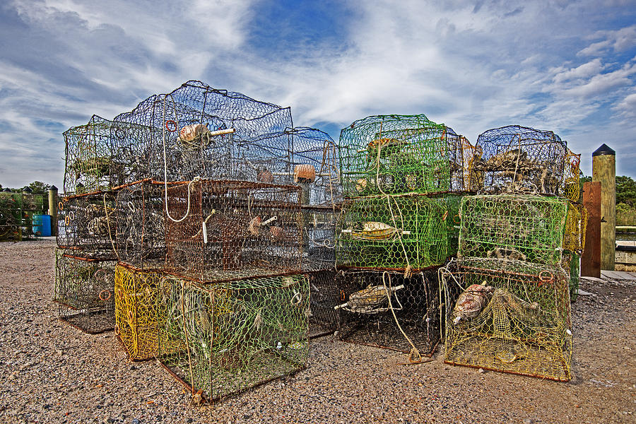 Crab Pots Waiting at the Dock Photograph by Bill Swartwout
