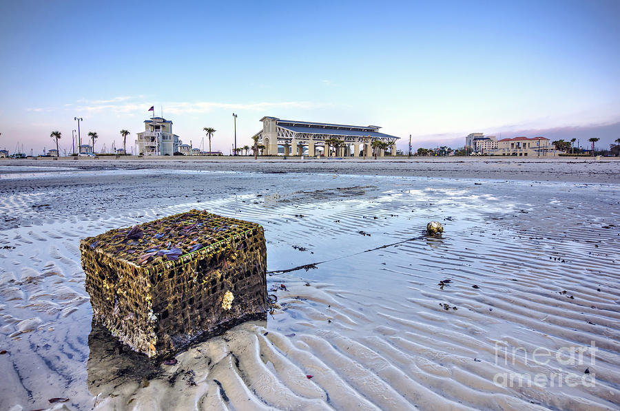 Beach Photograph - Crab Trap Washed Ashore by Joan McCool