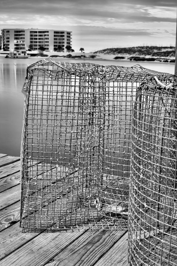 Crab Traps Black and White Photograph by JC Findley