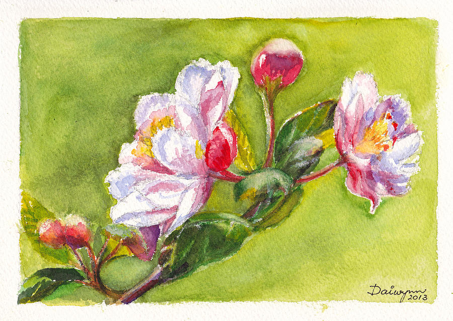 Crabapple Blossom Painting by Dai Wynn