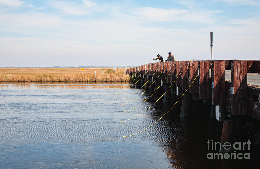 Crabbing from the Bridge at Shorters Wharf at Blackwater  National Wildlife Refuge Photograph by William Kuta