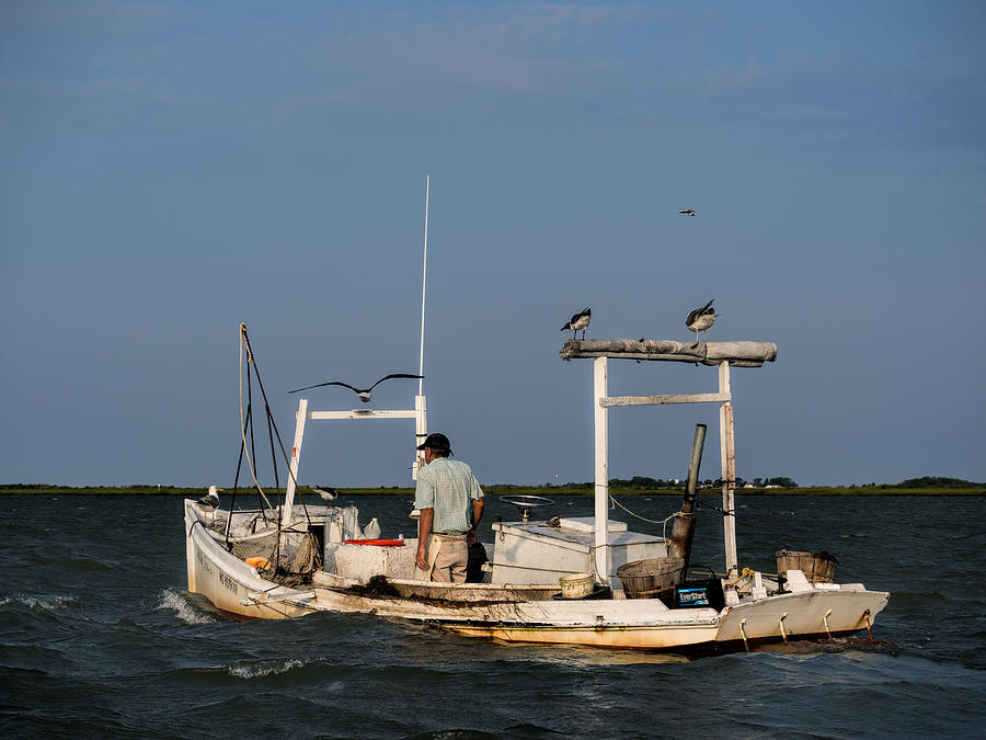Crabbing Smith Island MD Photograph by David Kay