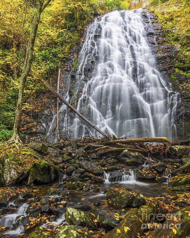 Crabtree Falls In Yellow Photograph