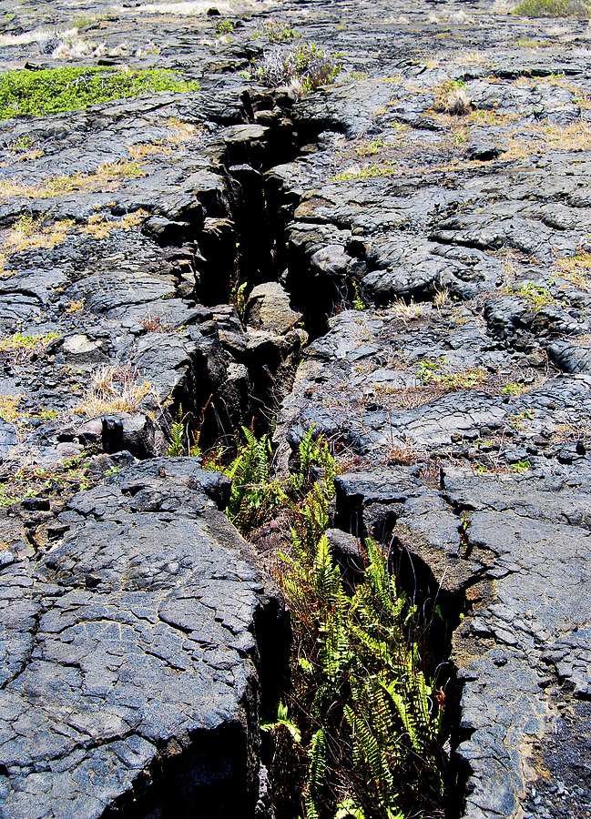 Crack in the Lava Photograph by Christi Kraft
