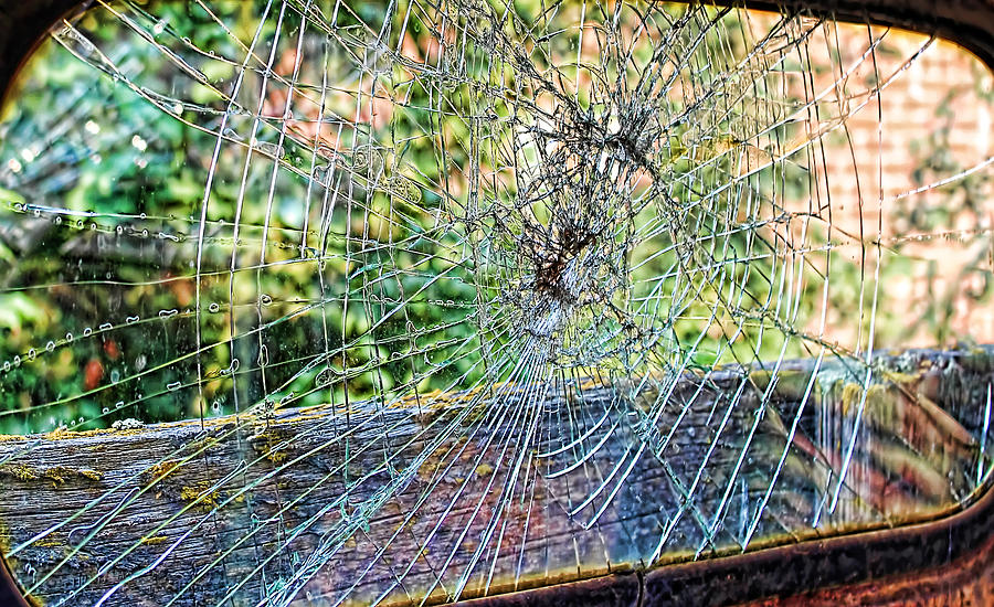 Cracked Photograph by Cathy Anderson