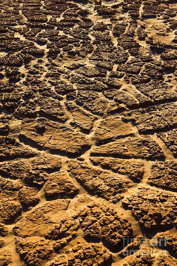 Cracked Clay Photograph by GIPhotostock