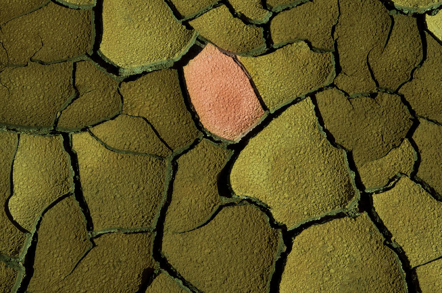Cracked, Dry Earth, Fertile Soil And Photograph by Paolo Negri
