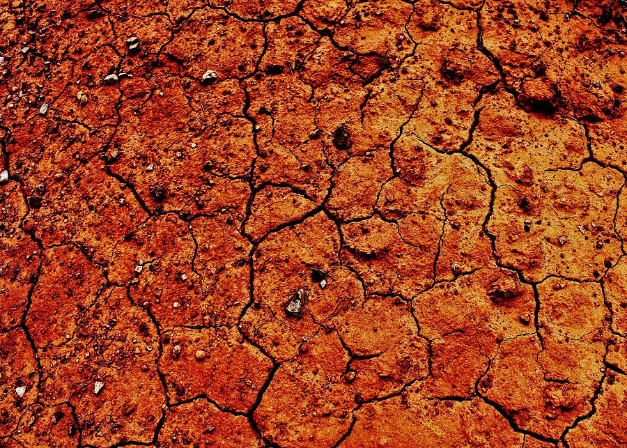 Nature Photograph - Cracked Earth by Benjamin Yeager