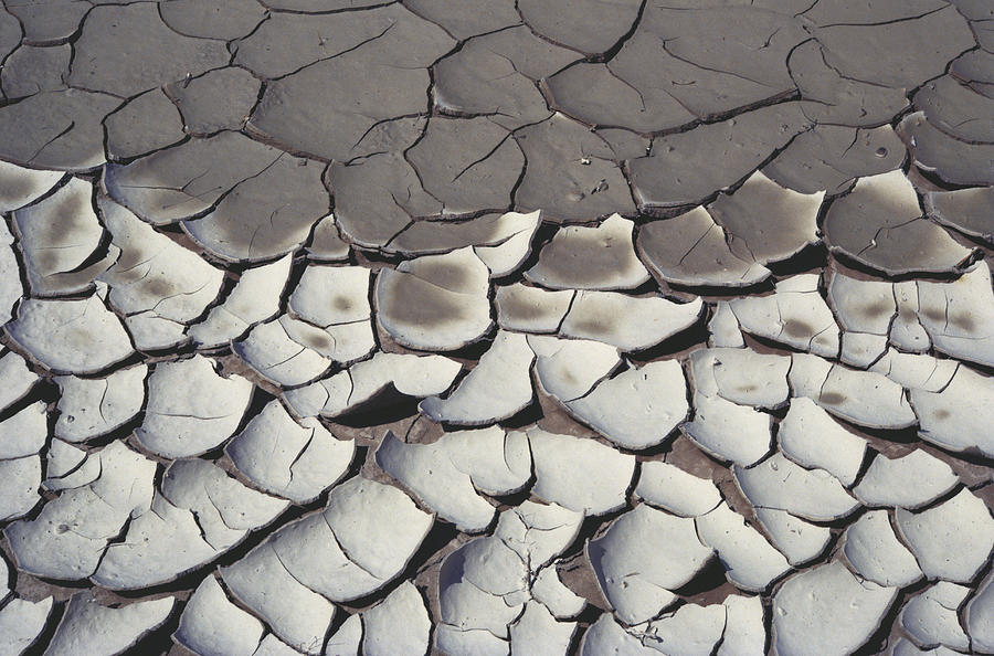 Cracked Earth In Texas Photograph by Karl H. Switak