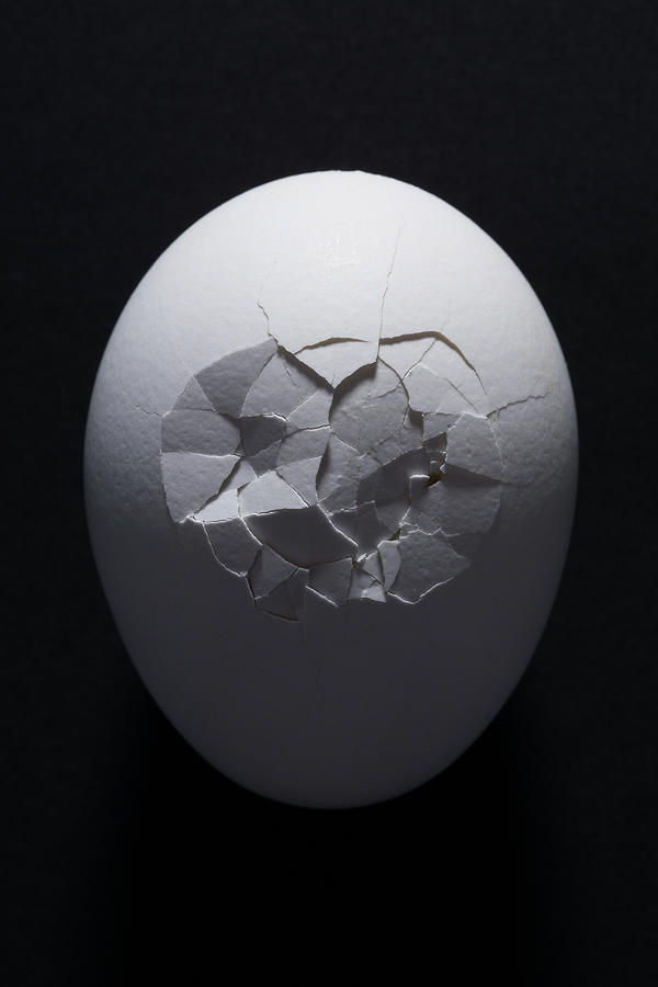 Cracked Egg Photograph by MirageC