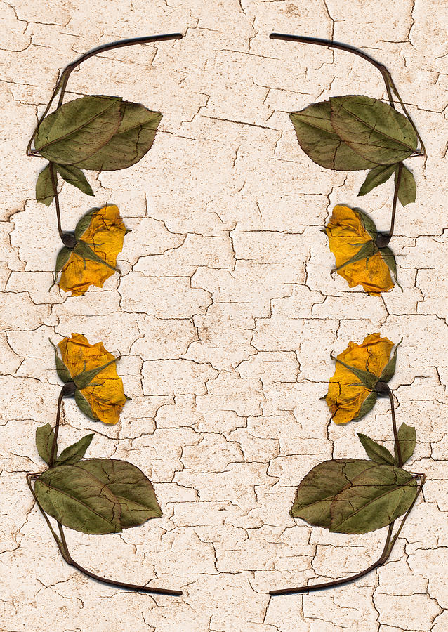 Cracked Flowers Digital Art