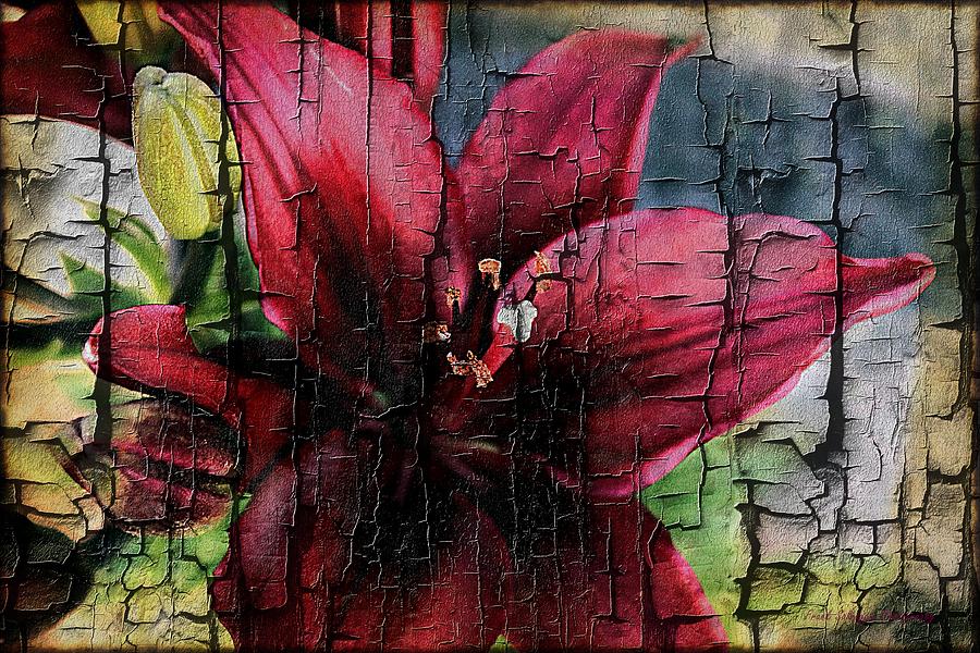 Cracked Photograph by Frank Salvaggio - Fine Art America