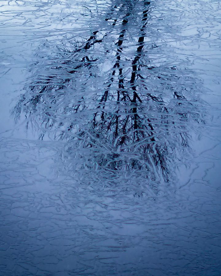 Cracked Ice Photograph by George Harth