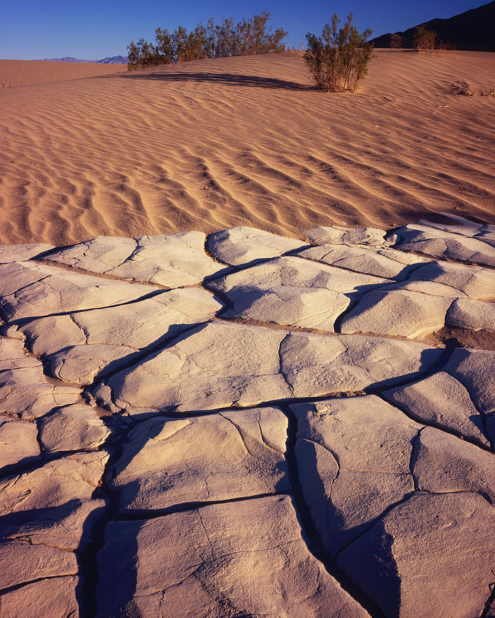 Cracked Mud Sand Ripples #1 Photograph by Tom Daniel