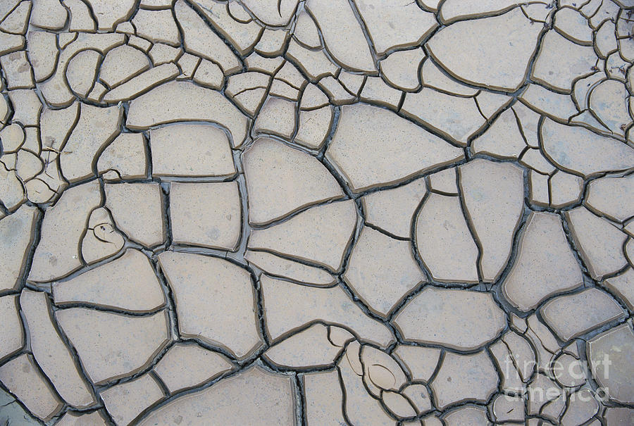 Cracked Mud, Death Valley Photograph by Mark Newman
