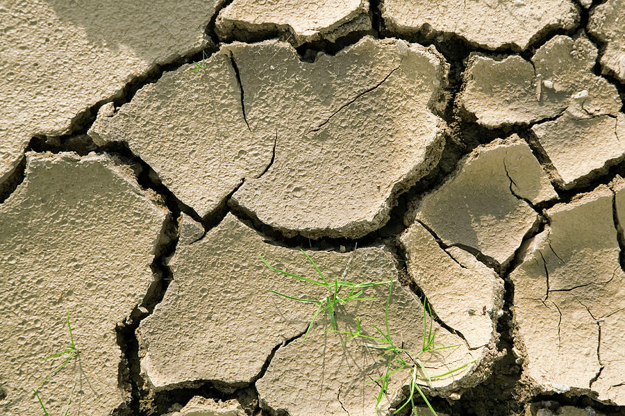 Cracked Mud by Paul Rapson/science Photo Library
