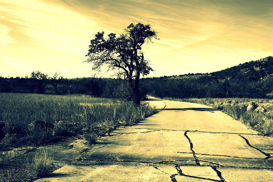 Mountain Photograph - Cracked Road by Mickey Harkins