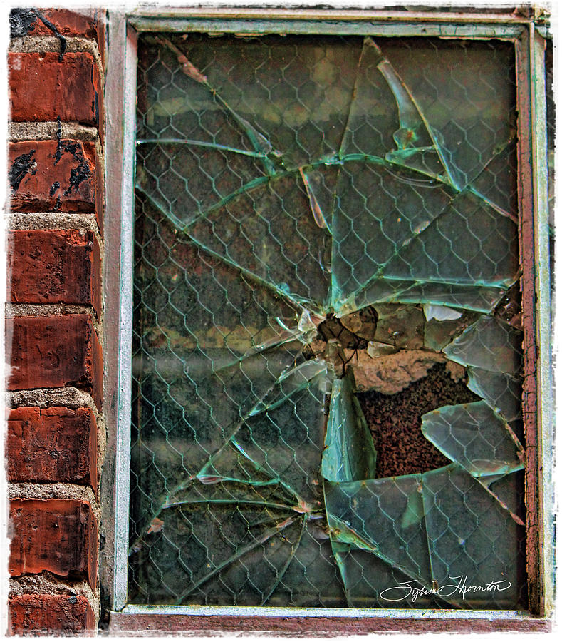 Cracked Up Photograph by Sylvia Thornton