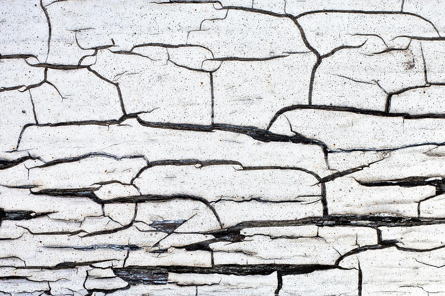 Cracked Photograph - Cracked wood pattern by Tom Gowanlock
