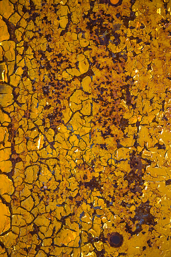 Rust Photograph - Cracked yellow paint by Garry Gay