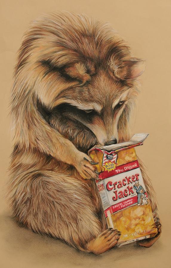 Cracker Jack Bandit Drawing by Jean Cormier