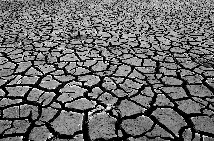 Cracks For Miles Black And White Photograph by Teri Schuster