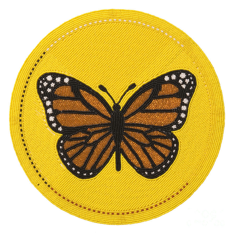 Cradleboard Beadwork Spring Butterfly Digital Art by Douglas Limon