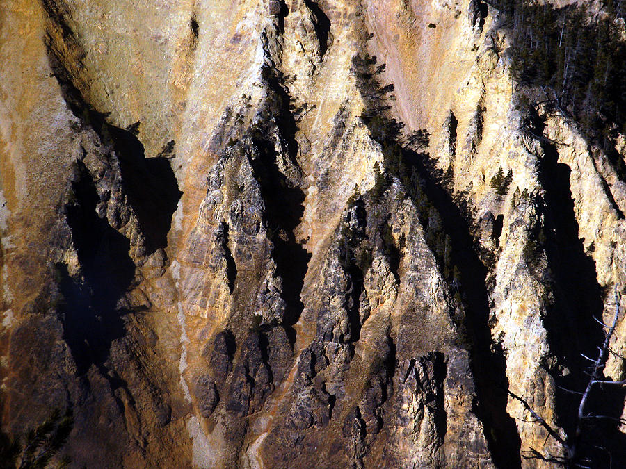 Crag by Tarey Potter Crag by Tarey Potter